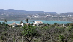 The View